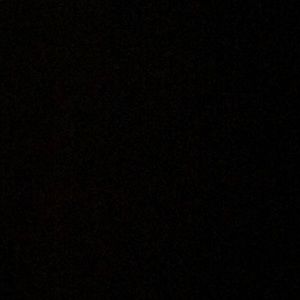 Meet your Posher, Reece